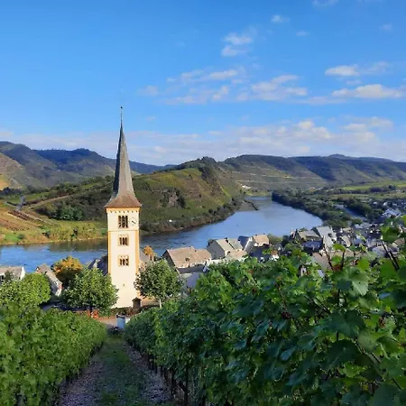 Wunderschoenes Winzerhaus Schenk * Neef